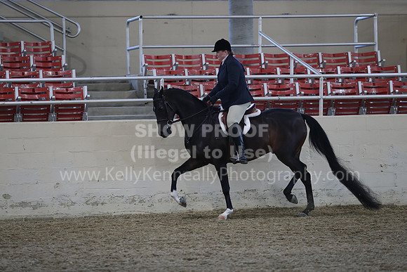 RCAHA19_SatPM_3616