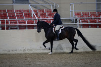 RCAHA19_SatPM_3617