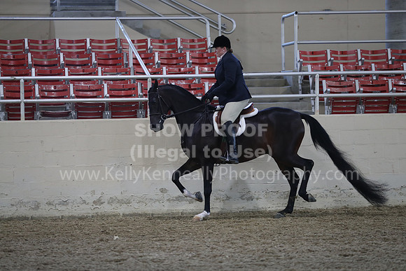 RCAHA19_SatPM_3617