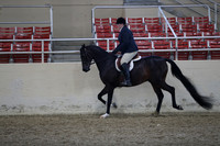 RCAHA19_SatPM_3618