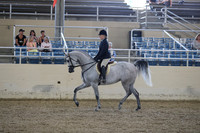 RCAHA19_SatPM_3619