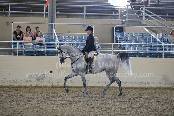 RCAHA19_SatPM_3619