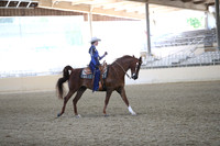 Class 144 AHA Western Horsemanship Equitation Medal JTR