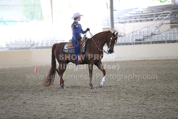 RCAHA19_SatPM_3677