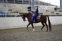 RCAHA19_SatPM_3678