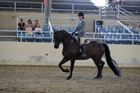 RCAHA19_SatPM_3621
