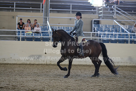 RCAHA19_SatPM_3621