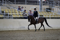 RCAHA19_SatPM_3622