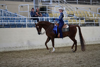 RCAHA19_SatPM_3679