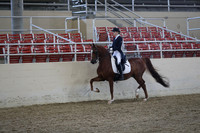 Class 145 HA/AA English Show Hack ATR