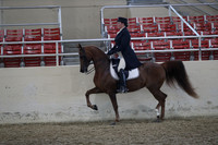 RCAHA19_SatPM_3697