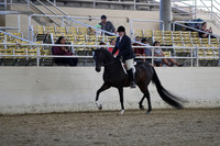 RCAHA19_SatPM_3625