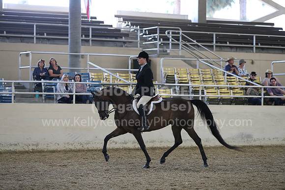 RCAHA19_SatPM_3638