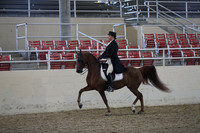 RCAHA19_SatPM_3715