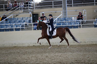 RCAHA19_SatPM_3701