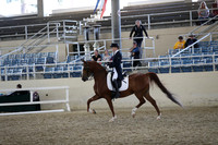 RCAHA19_SatPM_3702