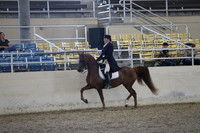 RCAHA19_SatPM_3707