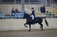 RCAHA19_SatPM_3710