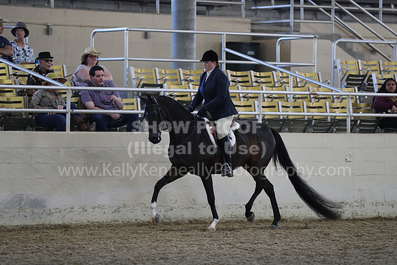 RCAHA19_SatPM_3627