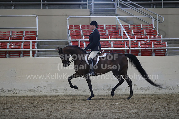 RCAHA19_SatPM_3631