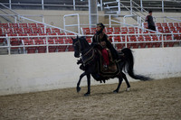 Class 147 Arabian Mounted Native Costume ATR