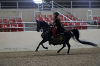 RCAHA19_SatPM_3771