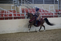 RCAHA19_SatPM_3776