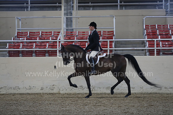 RCAHA19_SatPM_3632