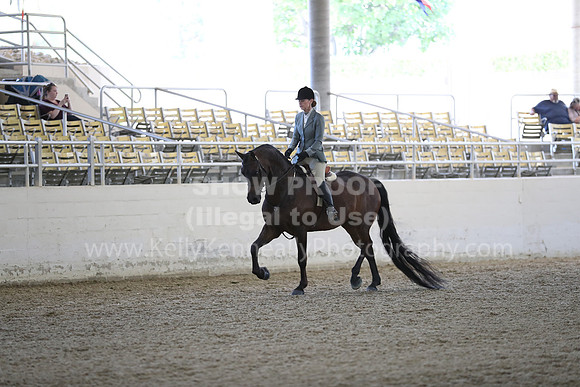 RCAHA19_SatPM_3633
