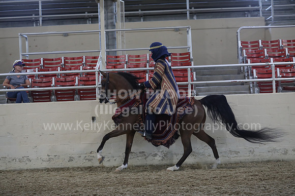 RCAHA19_SatPM_3779