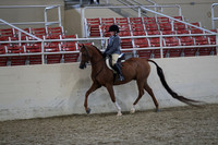 RCAHA19_SatPM_3913