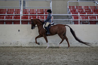 RCAHA19_SatPM_3914
