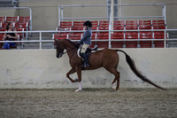 RCAHA19_SatPM_3915