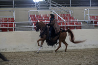 RCAHA19_SatPM_3783