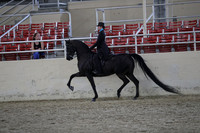 RCAHA19_SatPM_3948