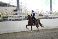 RCAHA19_SatPM_3949