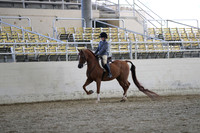 RCAHA19_SatPM_3917