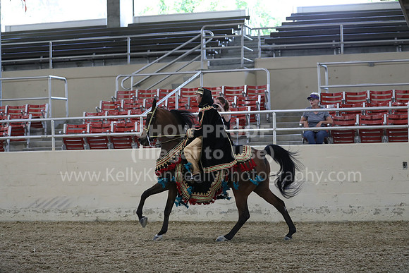 RCAHA19_SatPM_3791