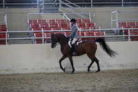 RCAHA19_SatPM_3919