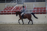 RCAHA19_SatPM_3921