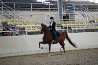 RCAHA19_SatPM_3951