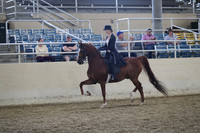 RCAHA19_SatPM_3953