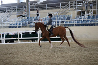 RCAHA19_SatPM_3922