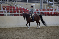 Class 152 Arabian Hunter Pleasure Select Rider AATRR