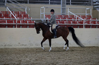 RCAHA19_SatPM_3982
