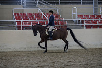 RCAHA19_SatPM_3986