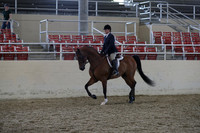 RCAHA19_SatPM_3988