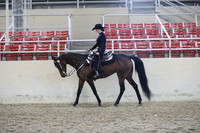 RCAHA19_SatPM_4034