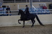 RCAHA19_SatPM_3960