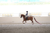 RCAHA19_SatPM_3930